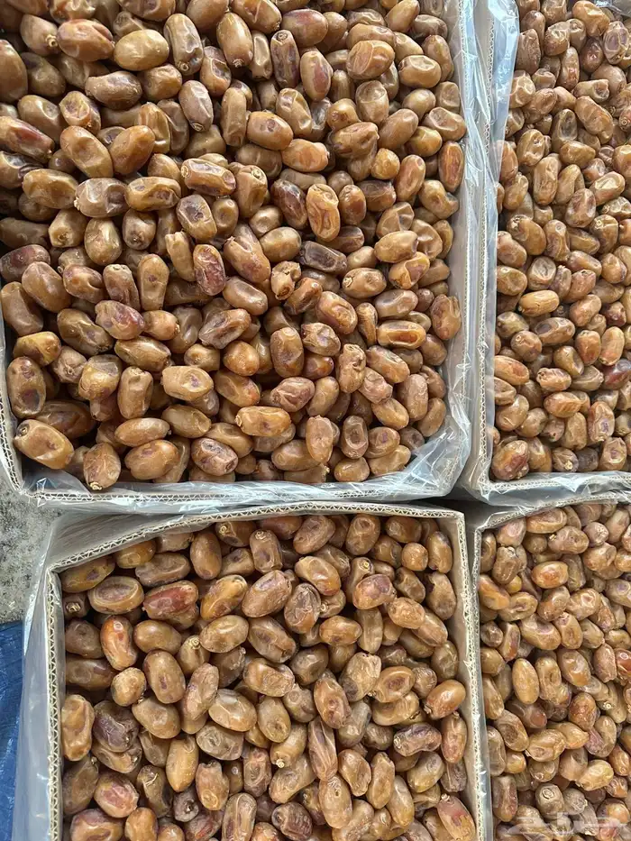 خلاص الخرج الفاخر 0