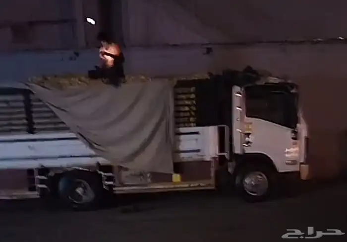 دينا شبك 5 متر للايجار جميع أنحاء المملكه 0