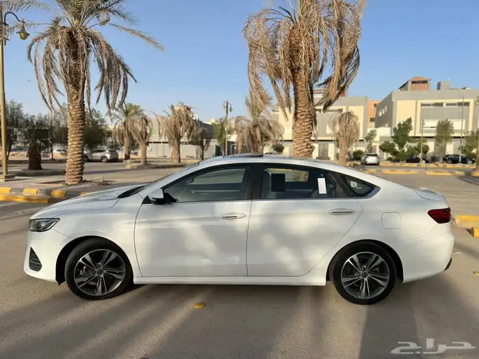 جيلي بينراي 2020 2