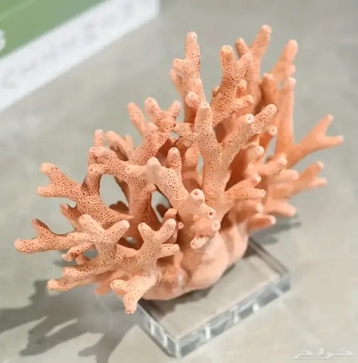 تصميم ثلاثي الأبعاد 3D لجميع لوازم زينة البيت مجانا 19