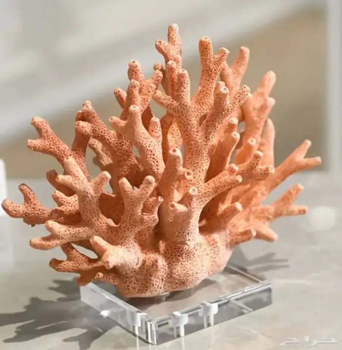 تصميم ثلاثي الأبعاد 3D لجميع لوازم زينة البيت مجانا 15