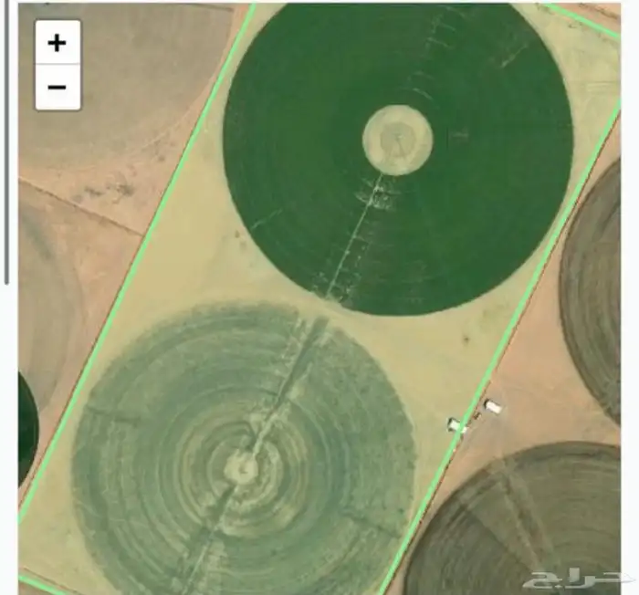 مزرعة الدوية 1