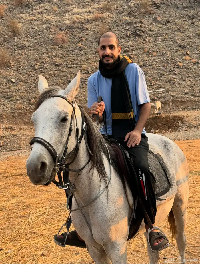 فرس شعبيه معها مهر 5