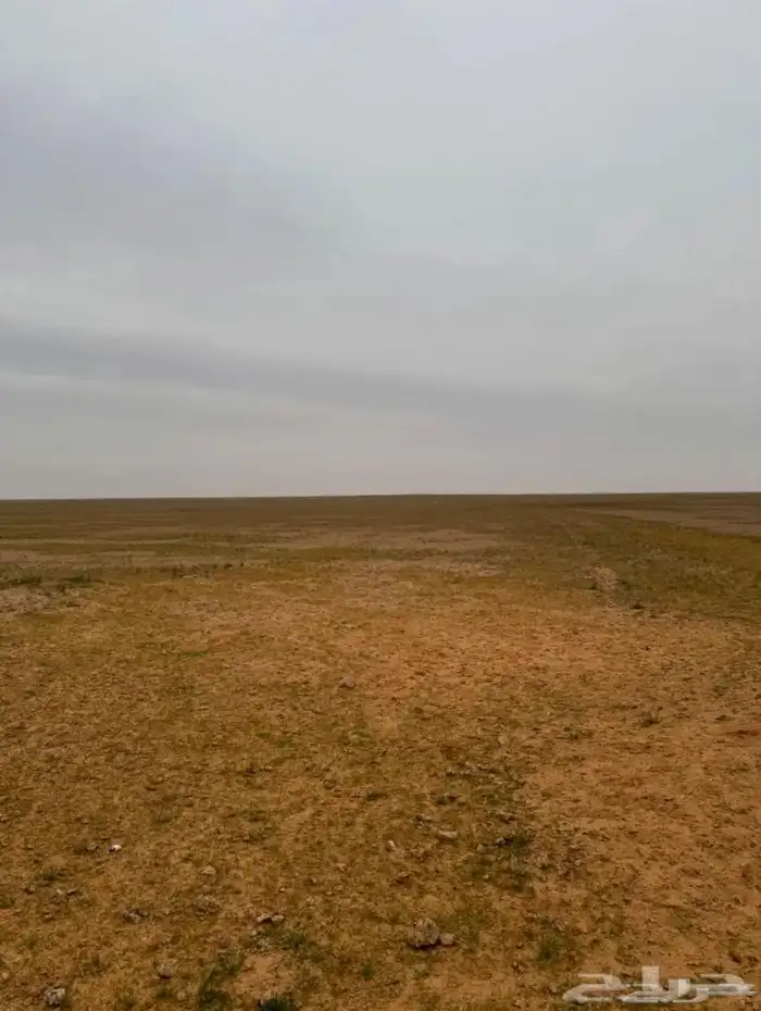 البيع مزرعة المساحة 200 الف السوم 220 الف 2