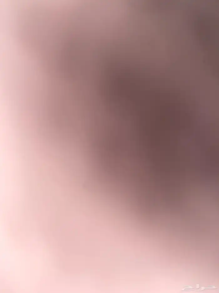مطلوب قطط للتبني 2