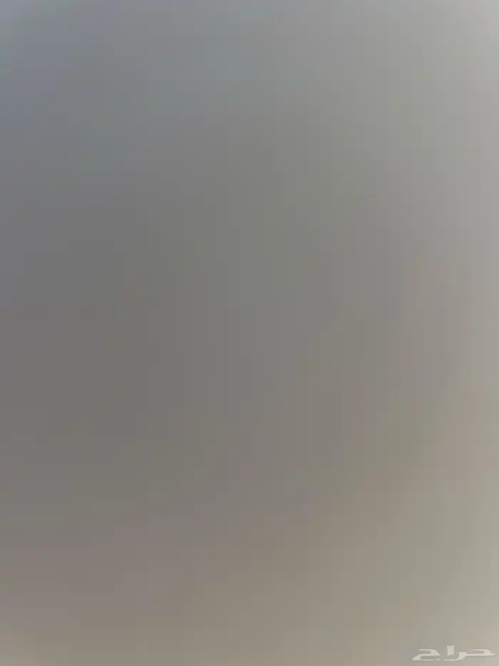 للي عنده قط لتبني غير شيرازي وبلدي وهملايا يدخل خاص 0