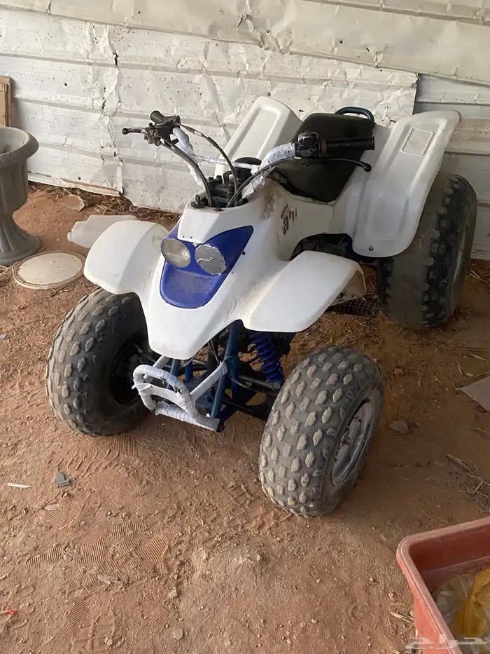 دباب 5