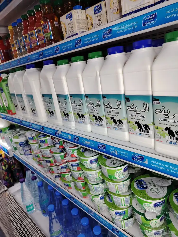 البان الريف 5