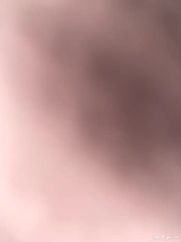 مطلوب قطط للتبني 0