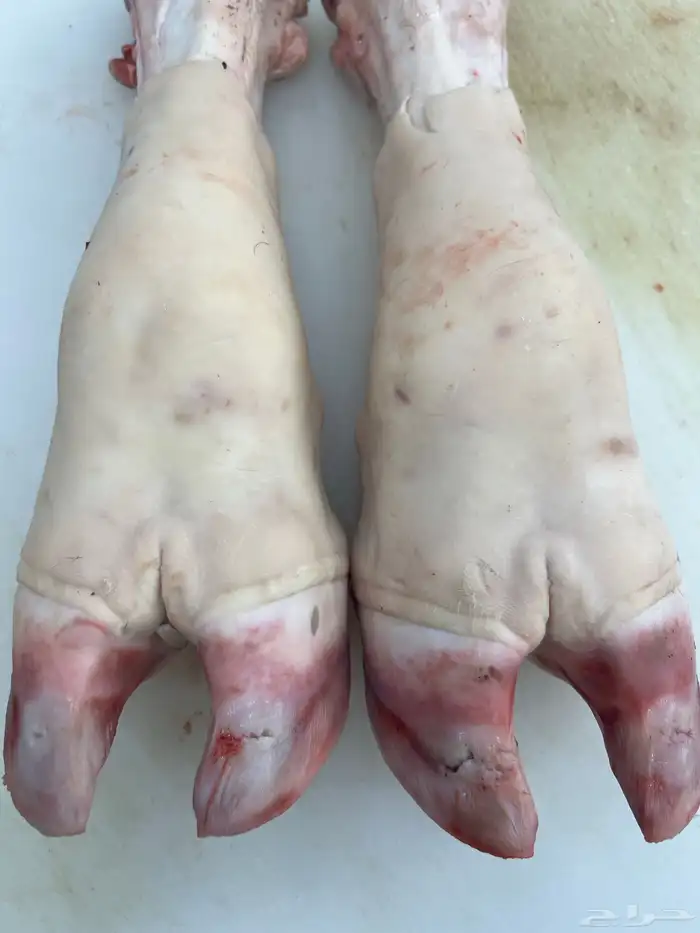 ملحمه لبيع اللحوم البلدي الطازجه 6