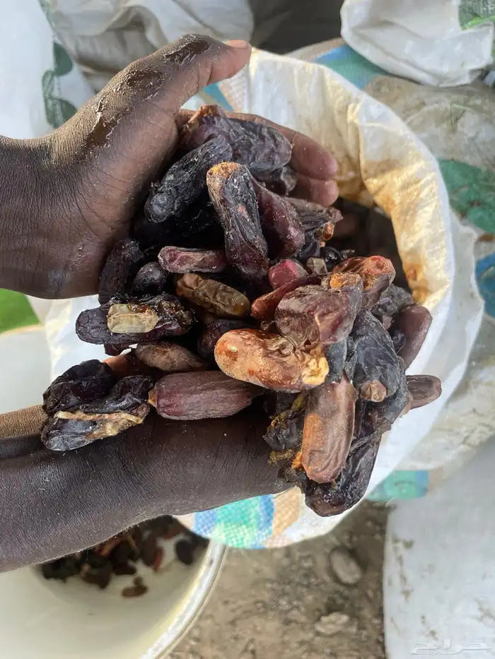 تمر غنم للبيع العدد 30كييس 4