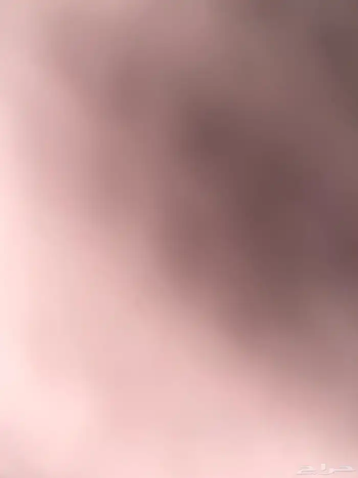 مطلوب قطط للتبني 1