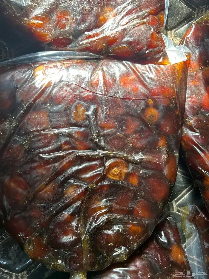 تمر سلمى 0