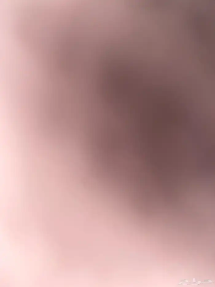 مطلوب قطط للتبني 3