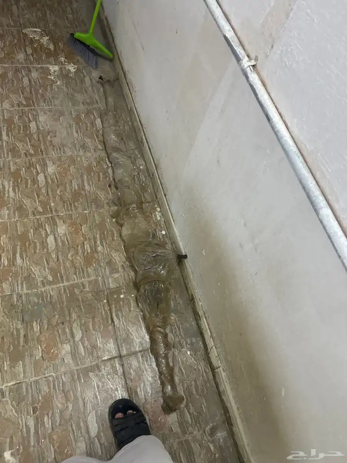 دودة دركسون اتش ون باص هونداي 1