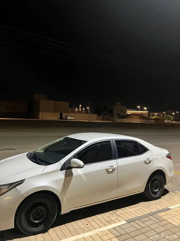 كورلا 2019 1