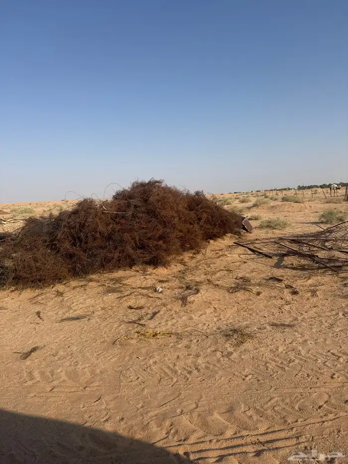 اغراض متنوعه لبيع 3