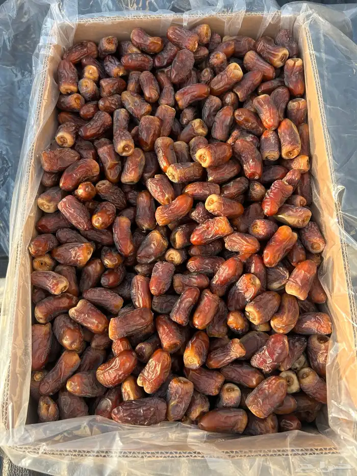 تمر برني للبيع 3