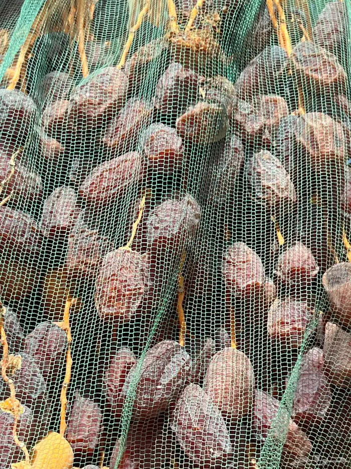 تمر برني ابوراكة 4