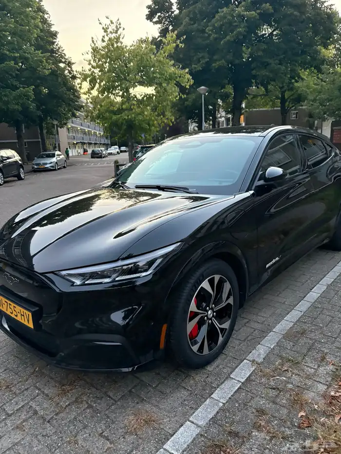 مرشد و سائق سوداني هولندا امستردام 2