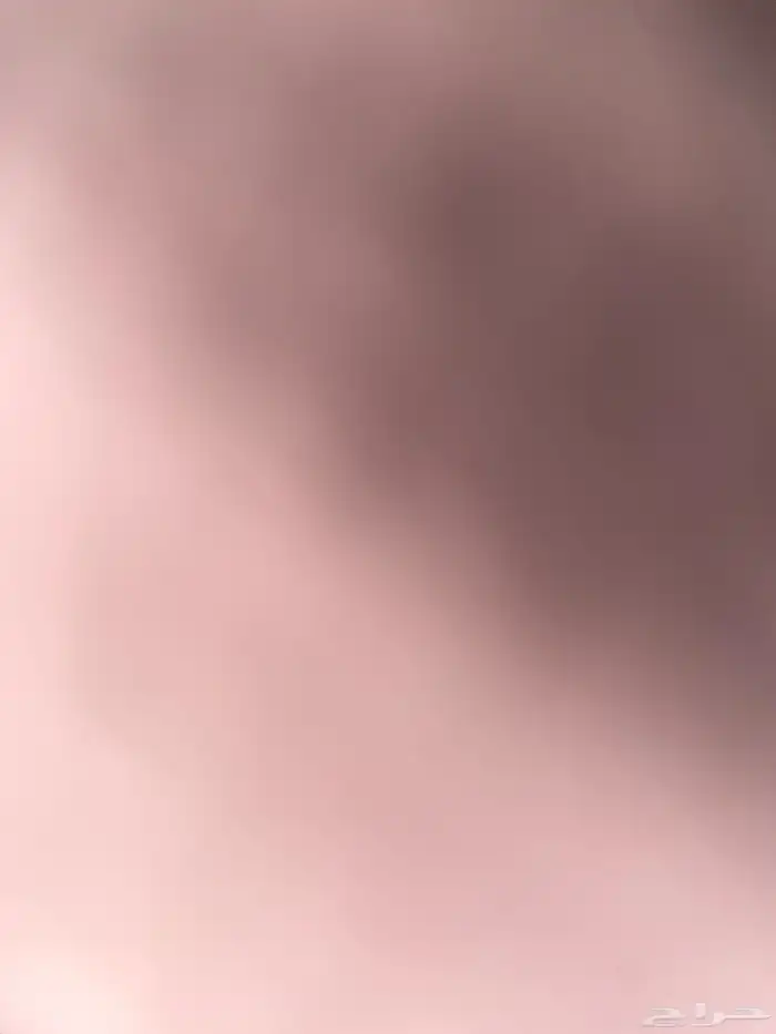 مطلوب قطط للتبني 4