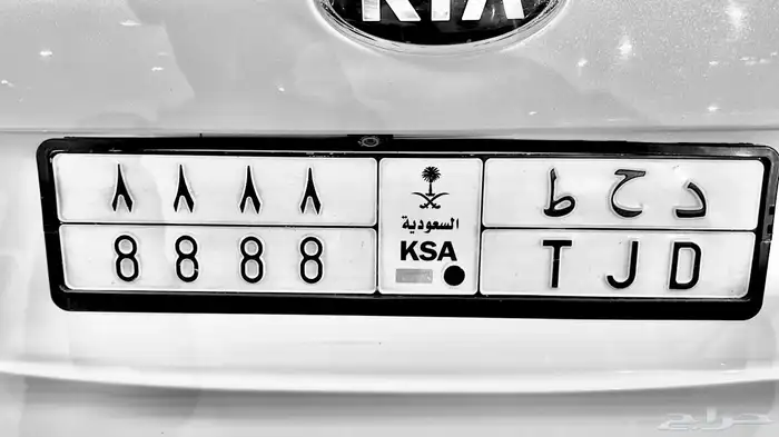 لوحه مميزه للبيع ( د ح ط 8 ) 0