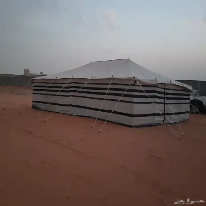 بيوت شعر خيام بيت شعر المطور علا هيكل 4
