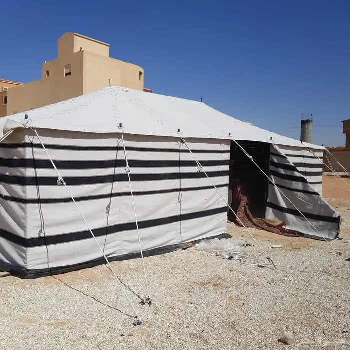 بيوت شعر خيام بيت شعر المطور علا هيكل 2