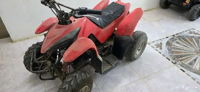 دباب تايواني مقاس 50 صغير 3