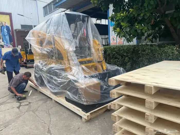Skid Steer Loader (700kg) 19