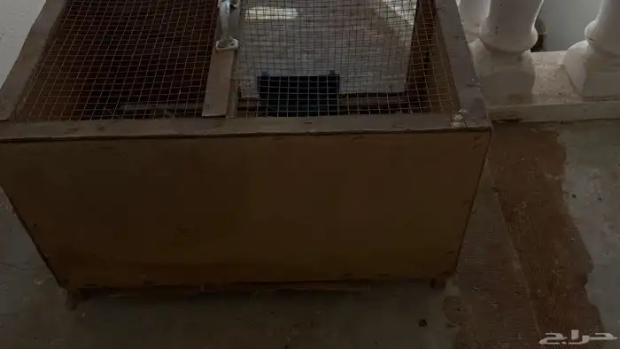 محكر حمام 1