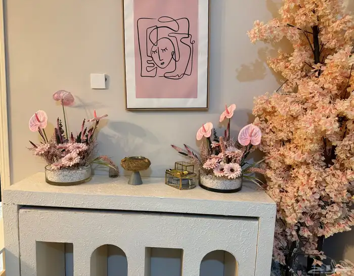 استقبال مولوده 0