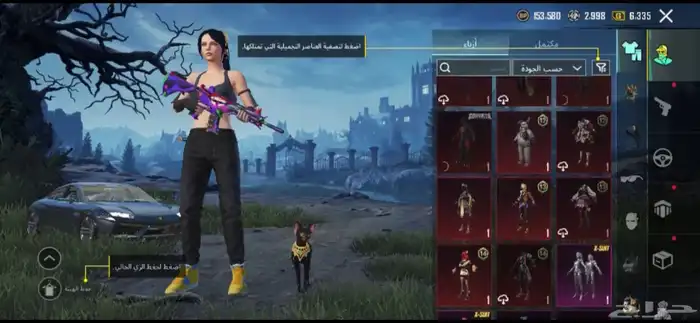 حساب ببجي للبيع السعر 2500 5