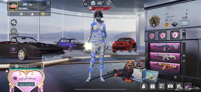 حساب ببجي للبيع 0