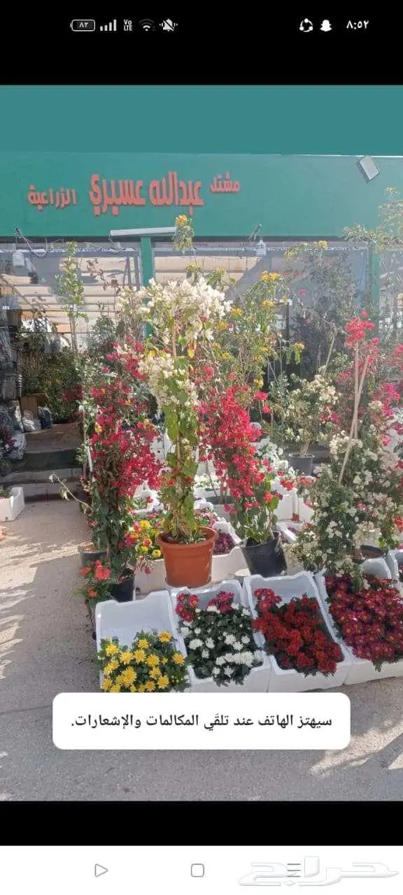 تنسيق وصيانه الحدائق 6