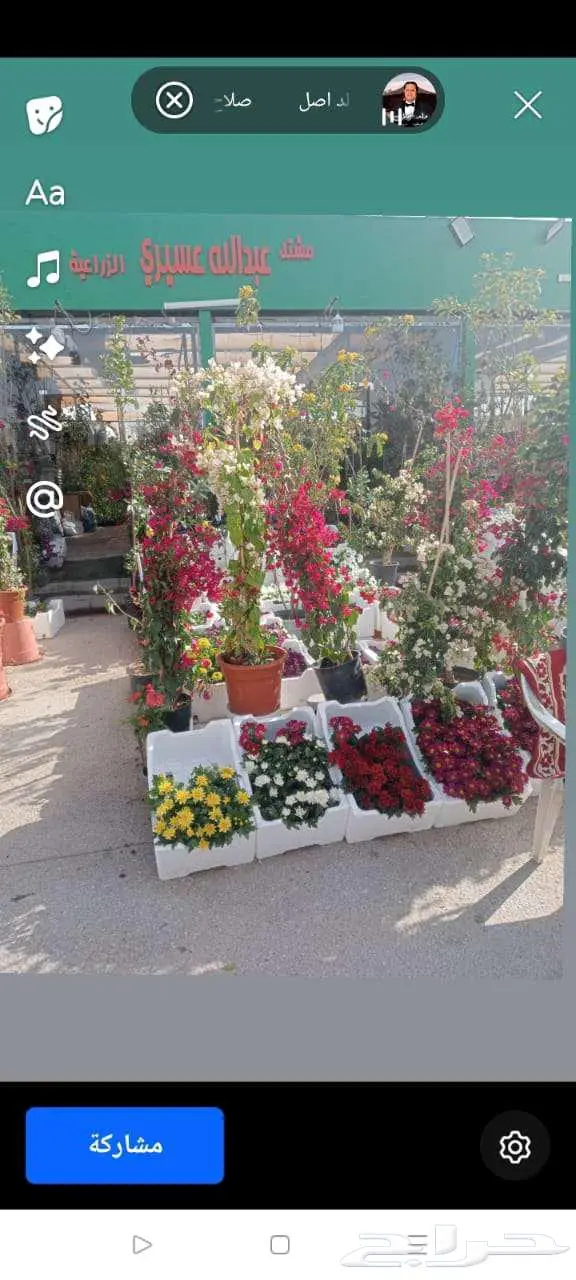 تنسيق وصيانه الحدائق 14