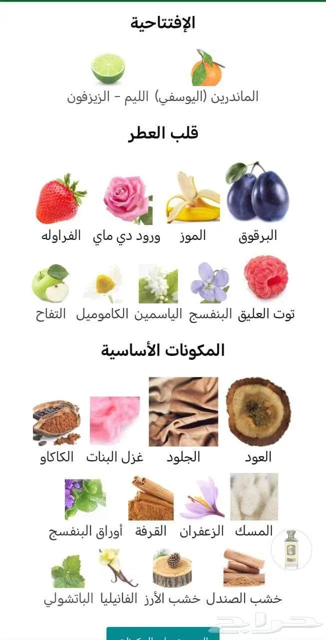 عطر يتخطي روجا المملكة في أداؤه 3
