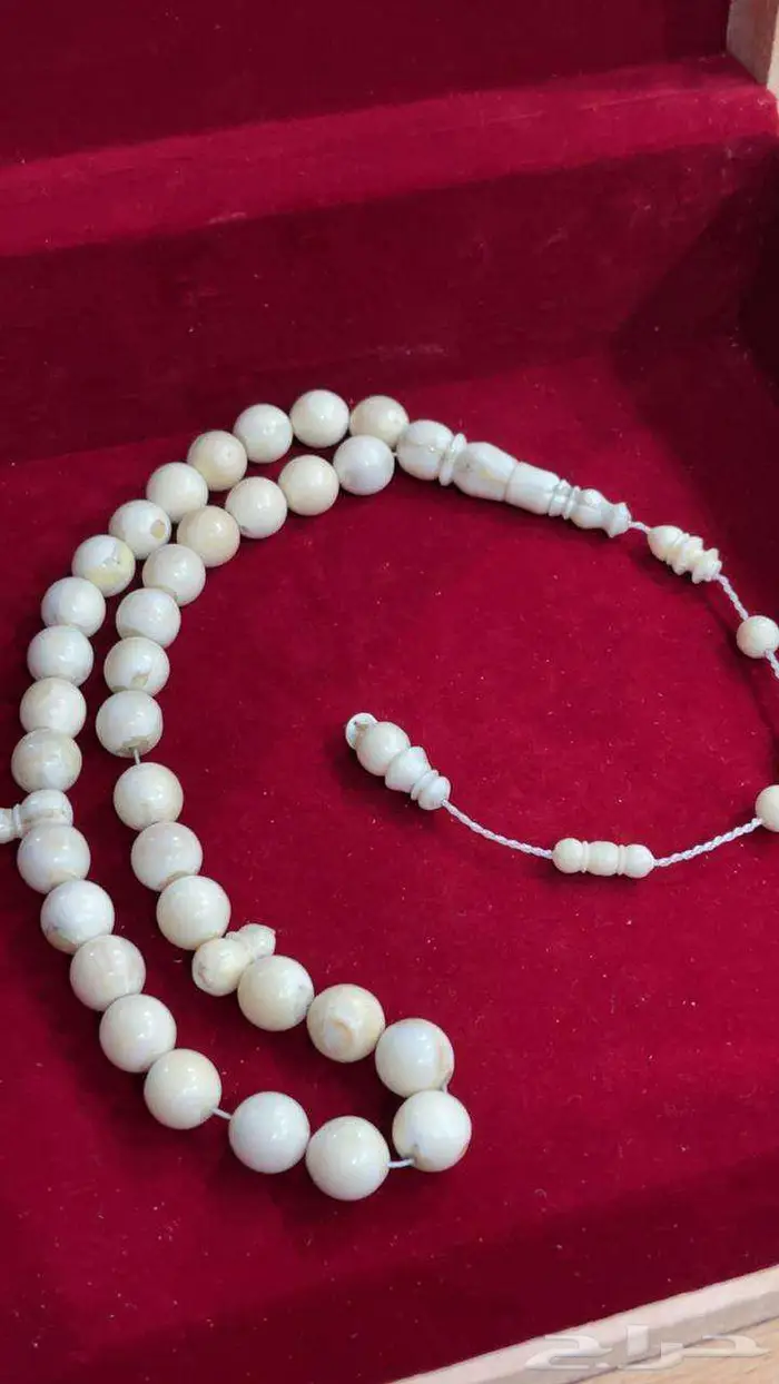 سبح عاج ناب اسد قرن غزال يسر 1