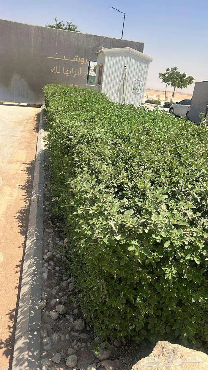 تنسيق وصيانه الحدائق 12