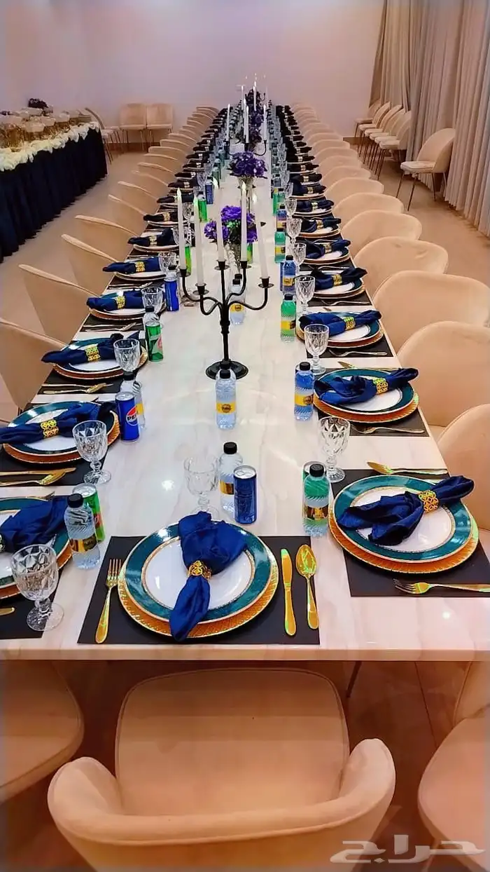 منسق حفلات 2