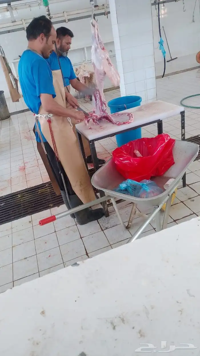 ذبايح 2