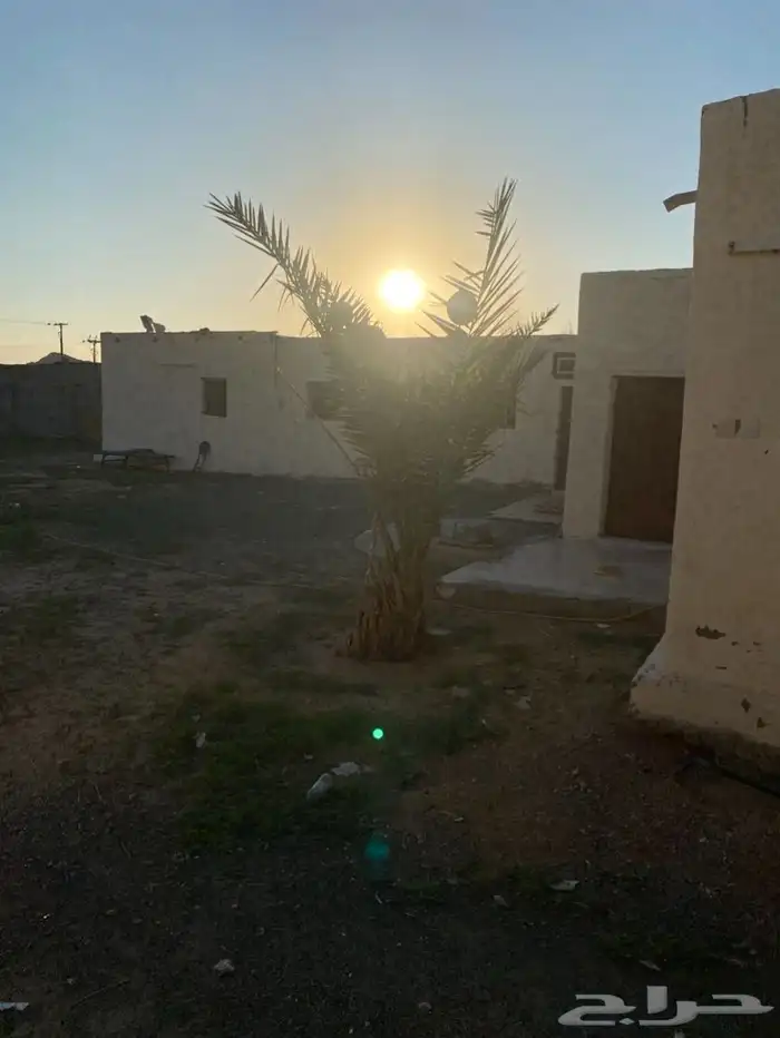 ح وش مكة النوارية بير الغ ن م 0