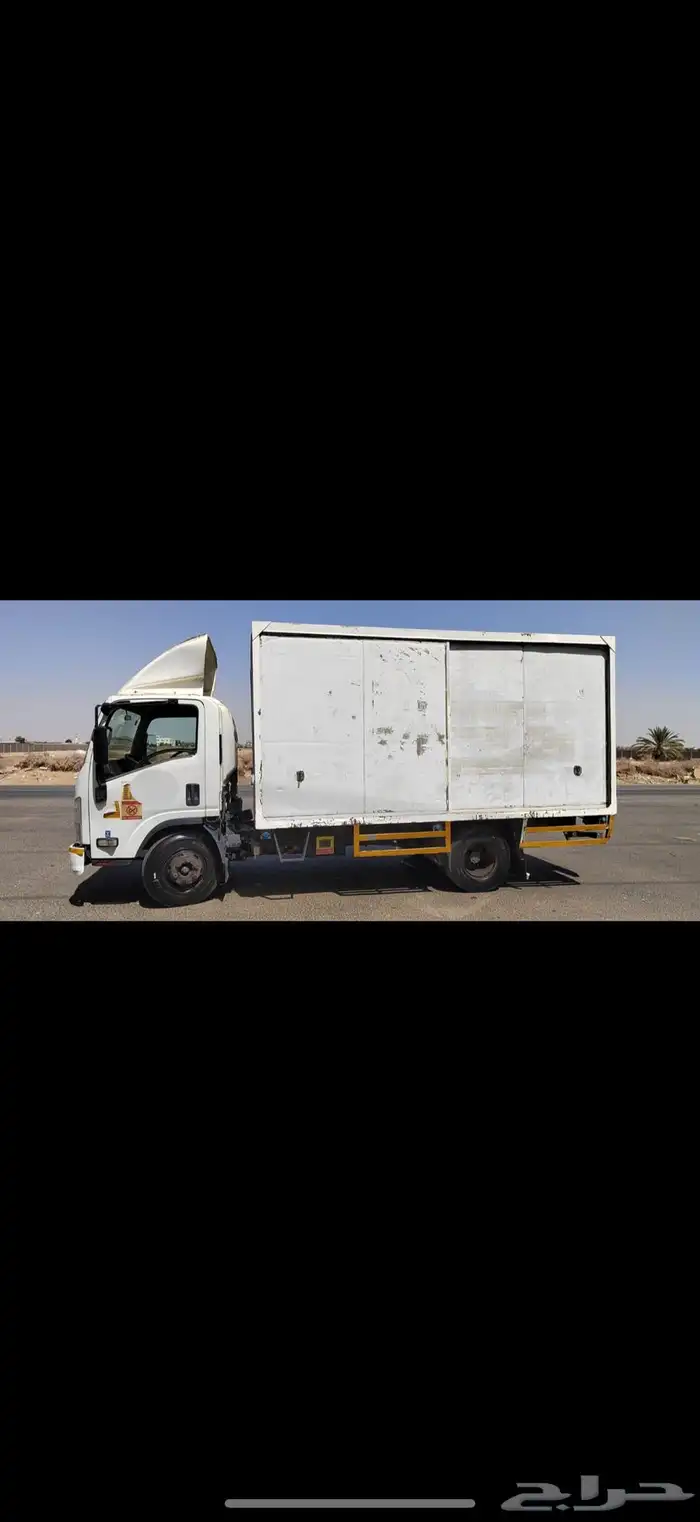 دينا صندوق 2009 3