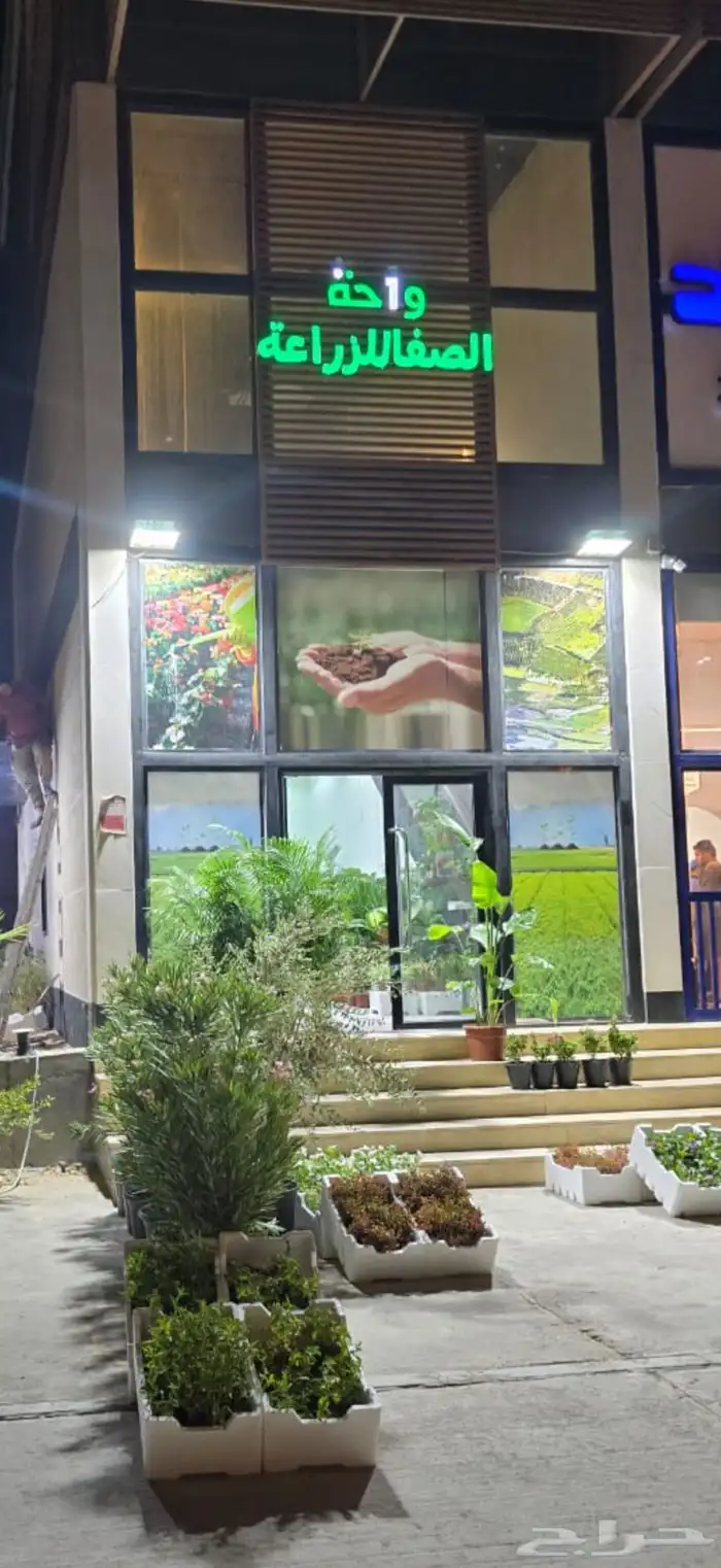 مشتل تنسيق زهور وحدائق   زراعه كافه الشتلات والاشجار 0