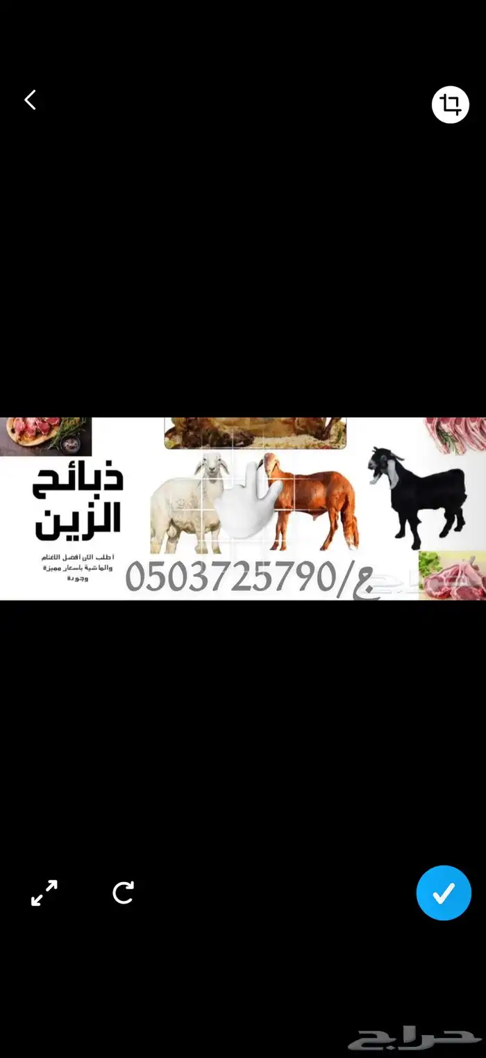 ذبايح للبيع نظيفه طليان حري سواكني تيوس 0