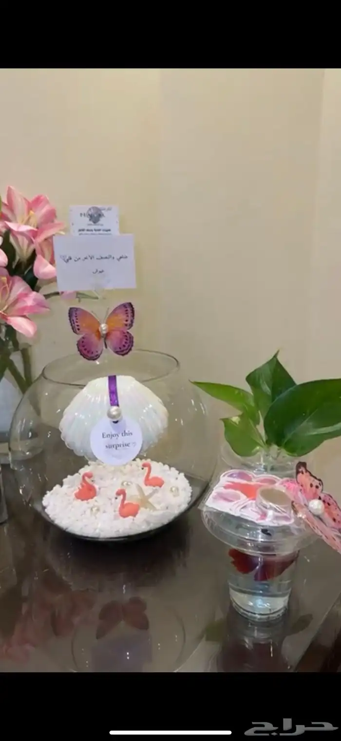 سمك فايتر عروض اليوم الوطني 0