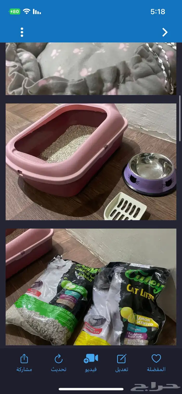 مستلزمات قطط للبيع 2
