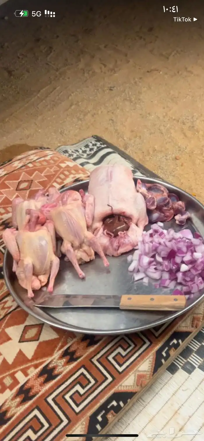 زغاليل بط وز 3