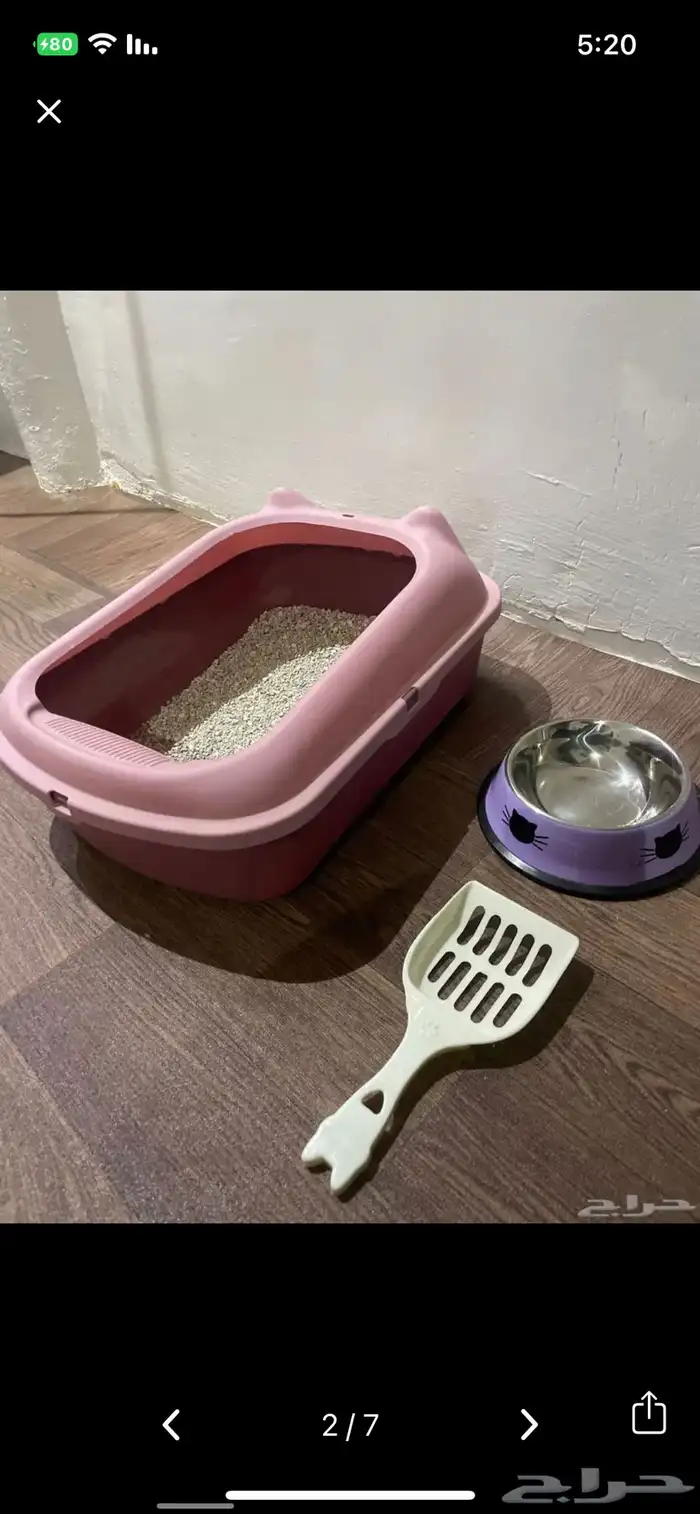 مستلزمات قطط للبيع 3