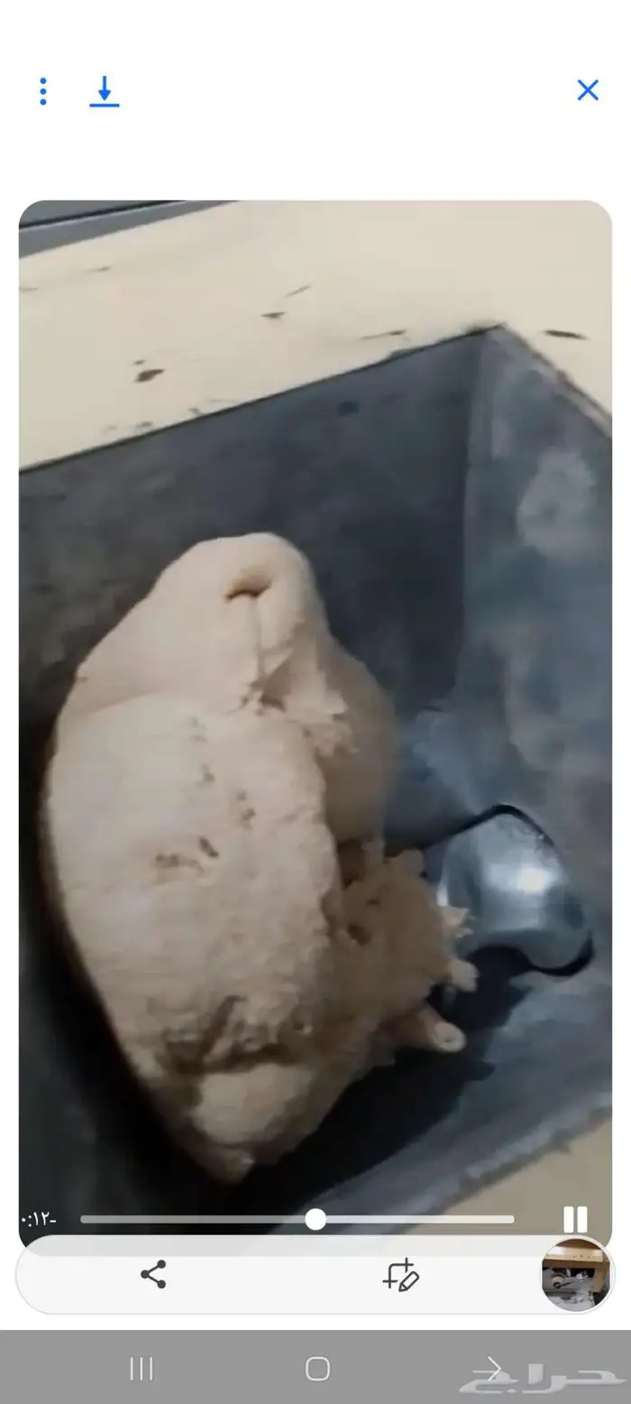 قطاعه عجين خبز 3